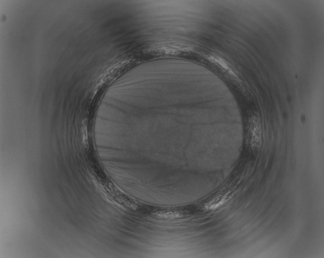 X0000061140500200512161533