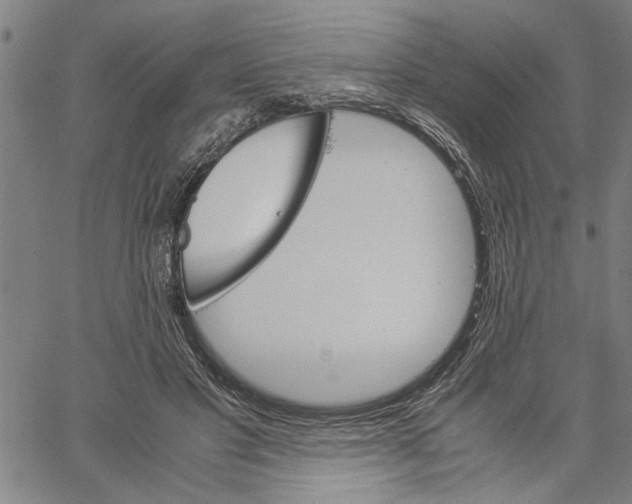 X0000061140501200512161533