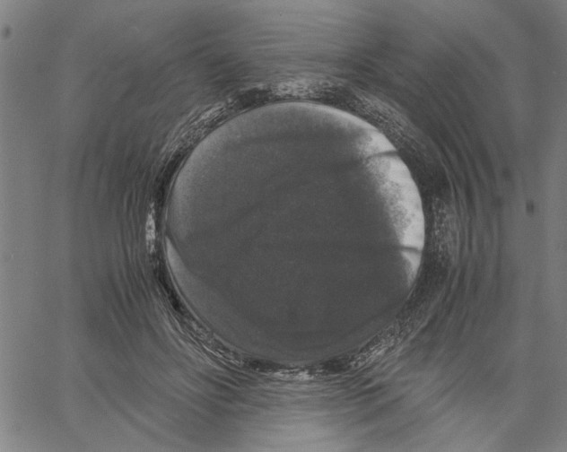 X0000061140502200512161533