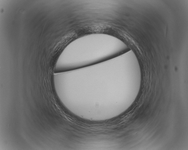 X0000061140505200512161533