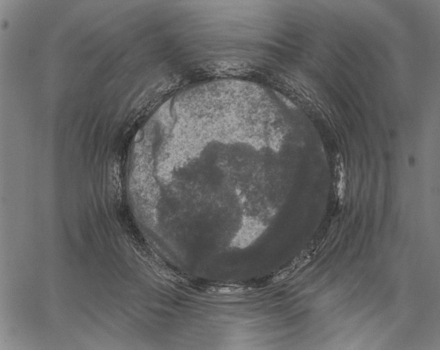 X0000061140506200512161533