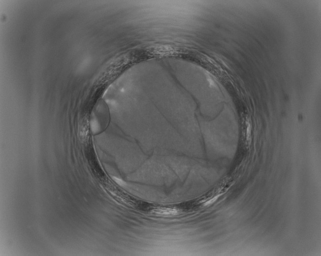 X0000061140507200512161533