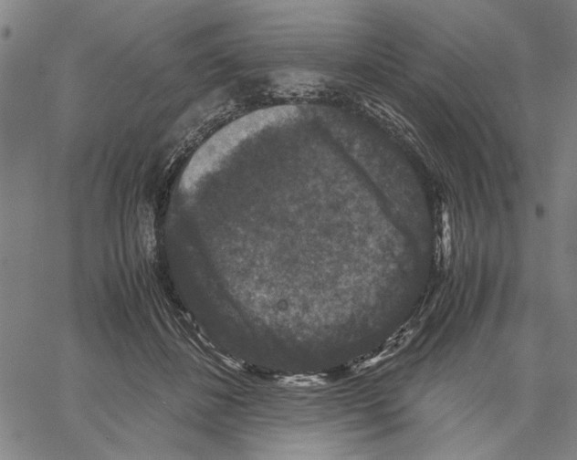 X0000061140508200512161533