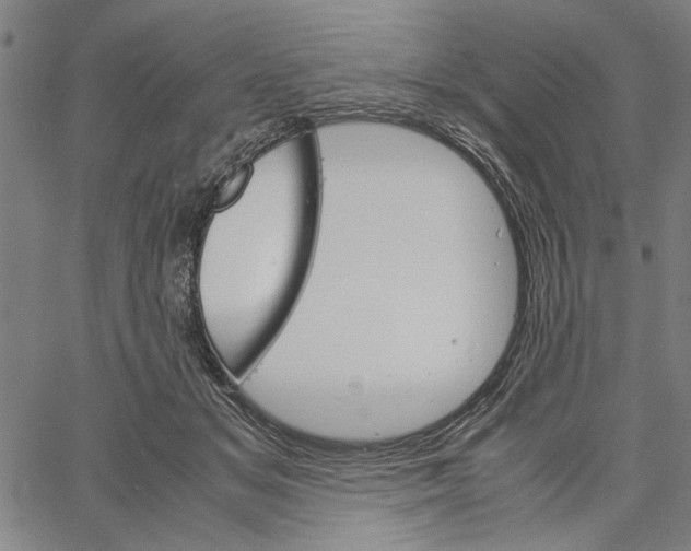 X0000061140509200512161533