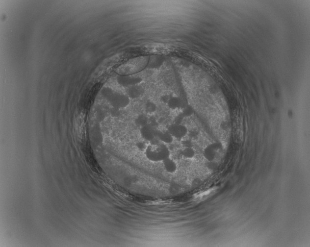 X0000061140511200512161533