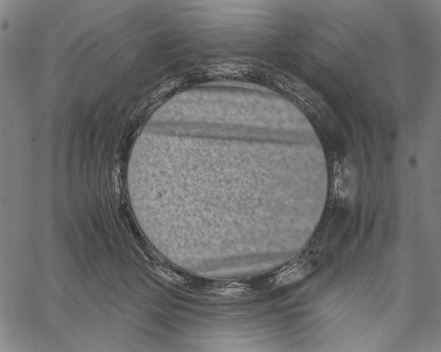 X0000061140514200512161533