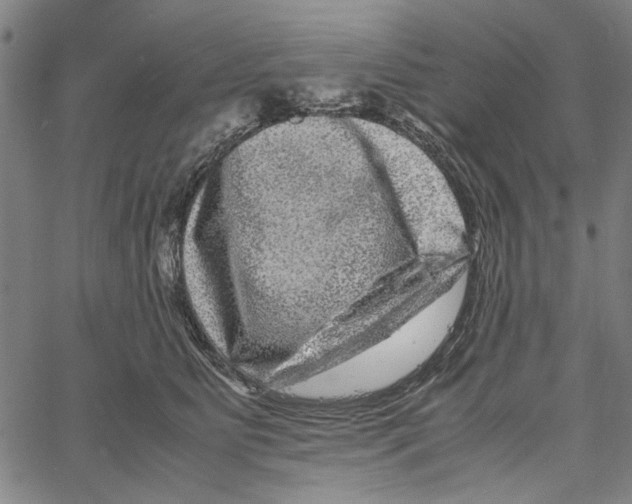 X0000061140515200512161533