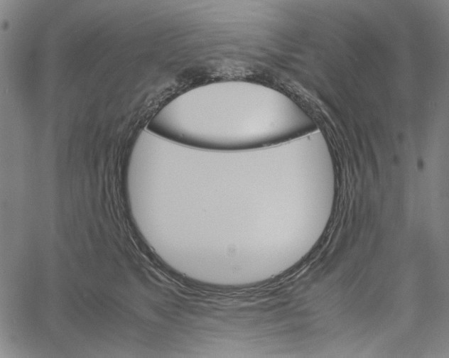 X0000061140517200512161533