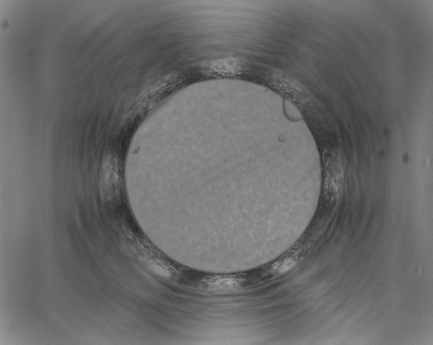 X0000061140518200512161533