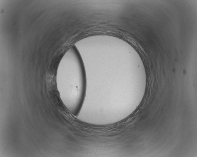 X0000061140521200512161533