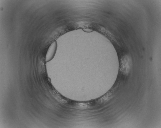 X0000061140522200512161533