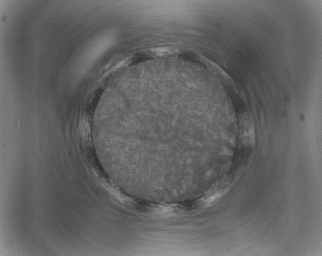 X0000061140523200512161533