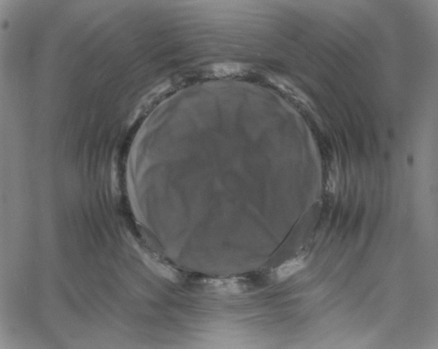 X0000061140524200512161533