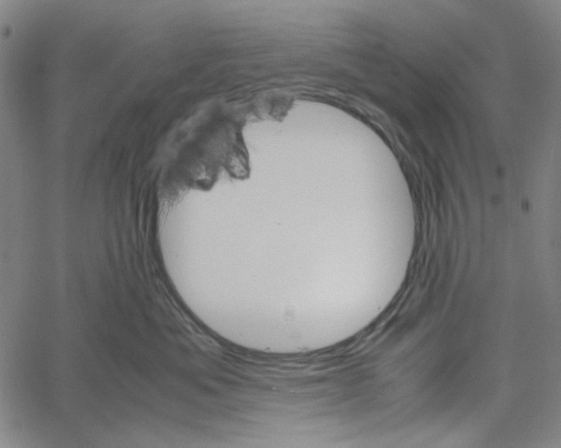 X0000061140525200512161533