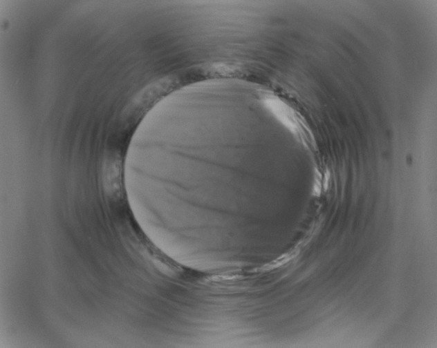 X0000061140526200512161533