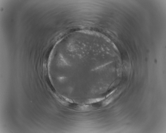 X0000061140527200512161533