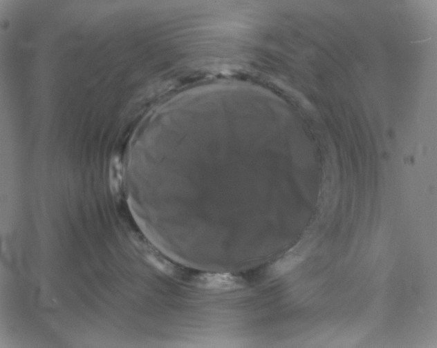 X0000061140528200512161533