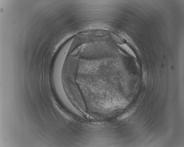 X0000061140530200512161532