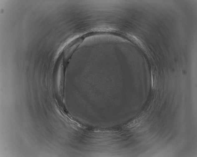 X0000061140531200512161532