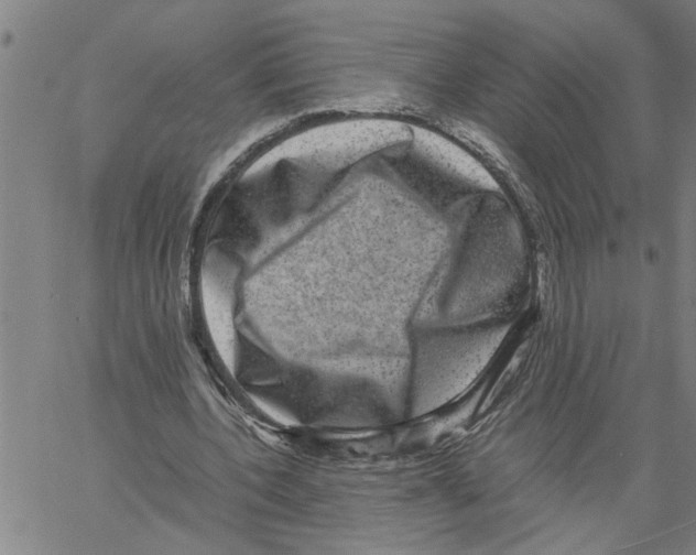 X0000061140532200512161532