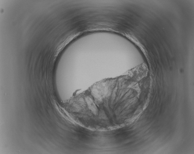 X0000061140533200512161532