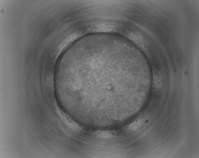 X0000061140534200512161532