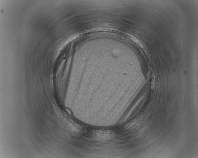 X0000061140535200512161532