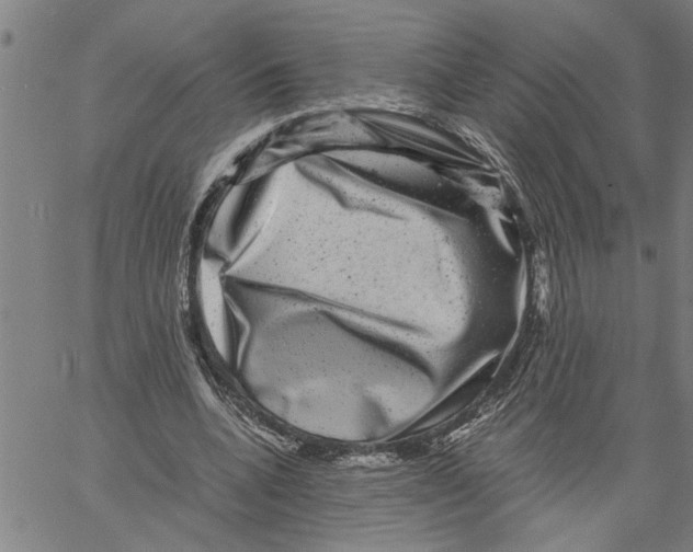 X0000061140536200512161532