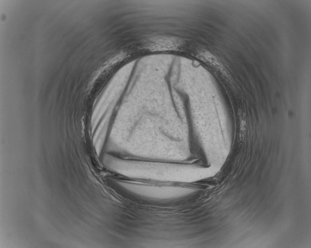 X0000061140539200512161532