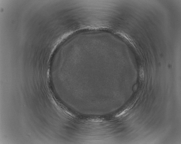 X0000061140540200512161532