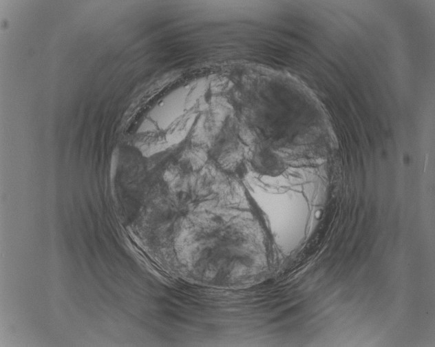 X0000061140541200512161532