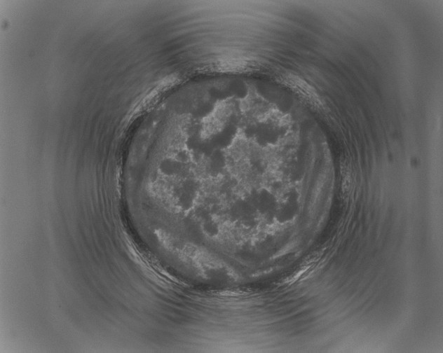 X0000061140542200512161532