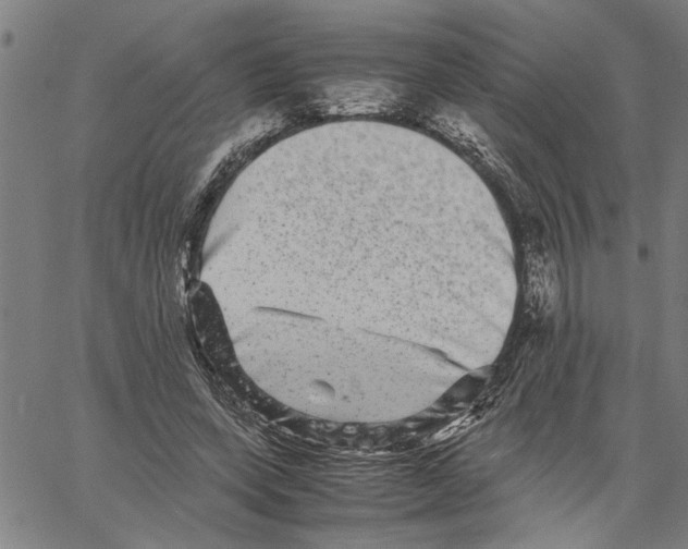 X0000061140543200512161532