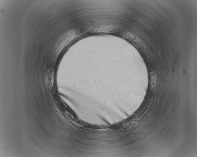 X0000061140544200512161532