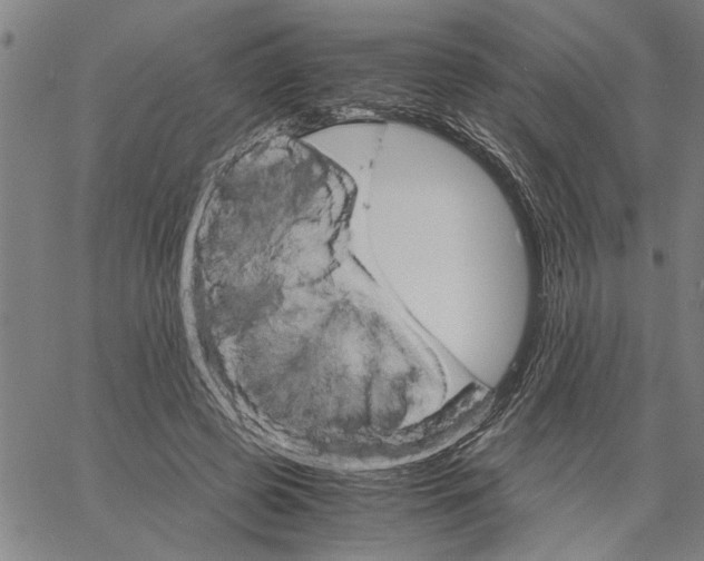 X0000061140545200512161533