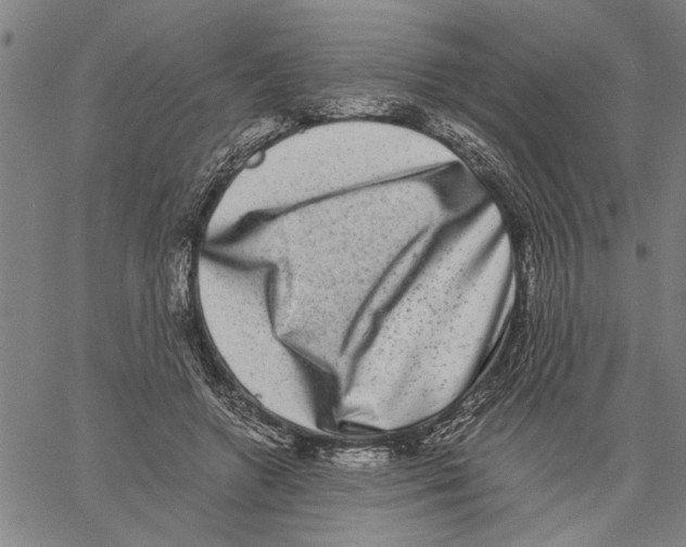 X0000061140546200512161533