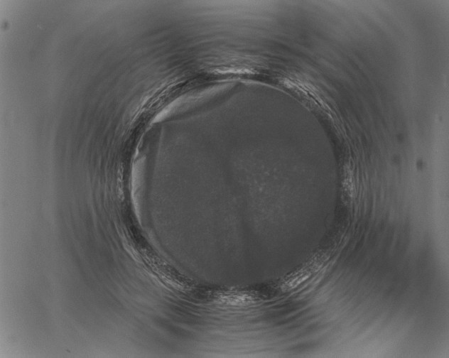 X0000061140547200512161533