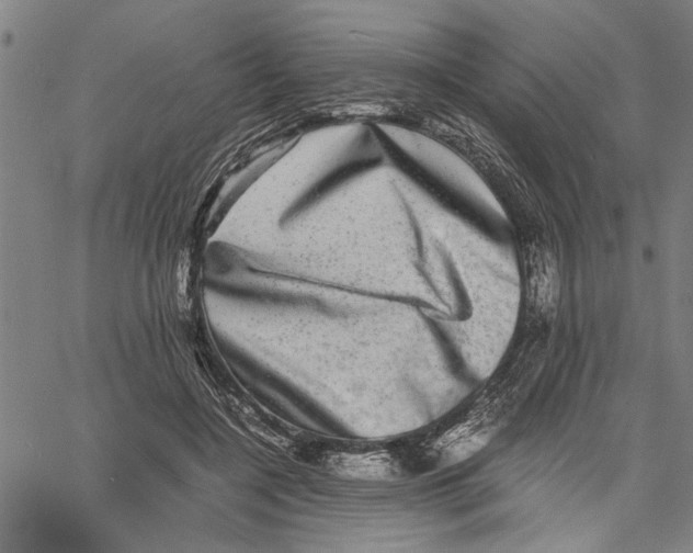 X0000061140548200512161533