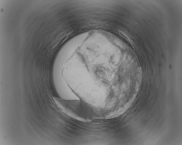 X0000061140549200512161533