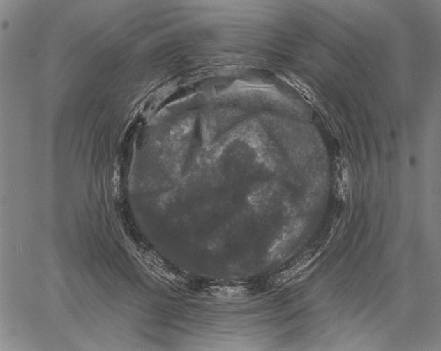 X0000061140552200512161533