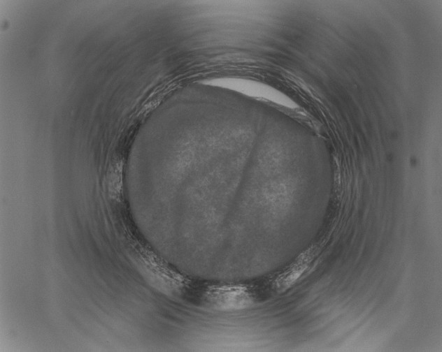 X0000061140554200512161533