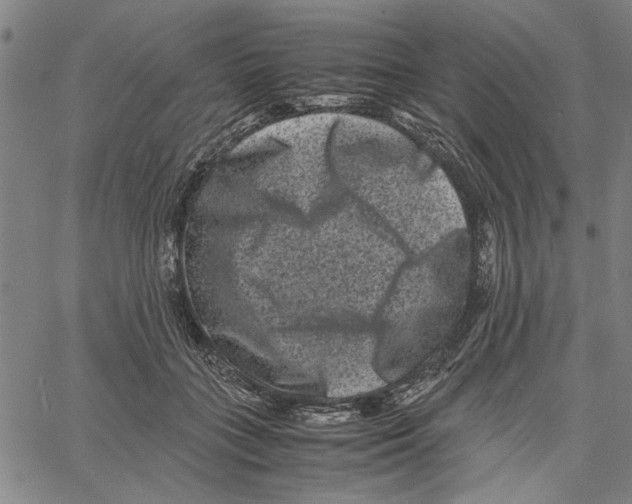 X0000061140555200512161533