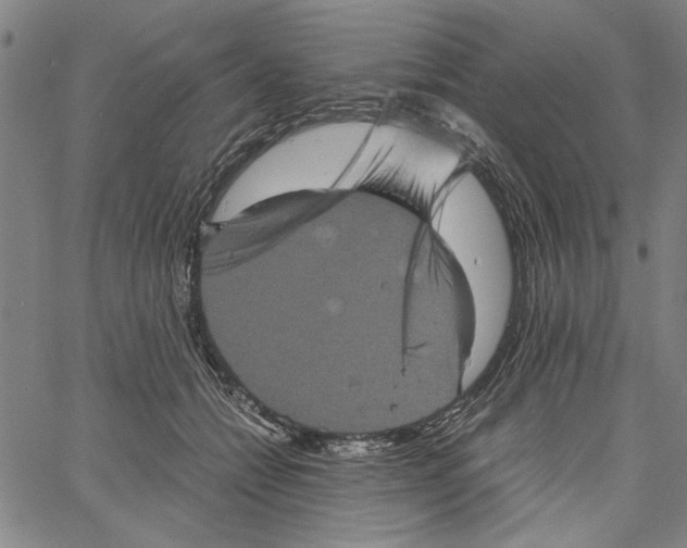 X0000061140558200512161533