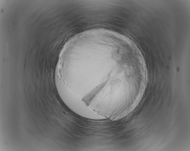 X0000061140561200512161533