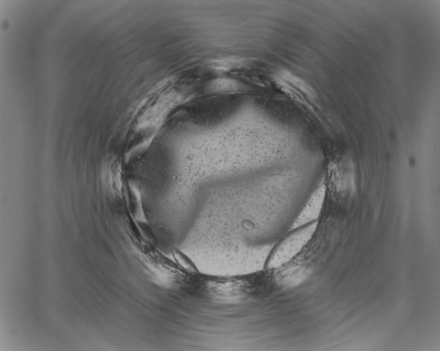 X0000061140564200512161533