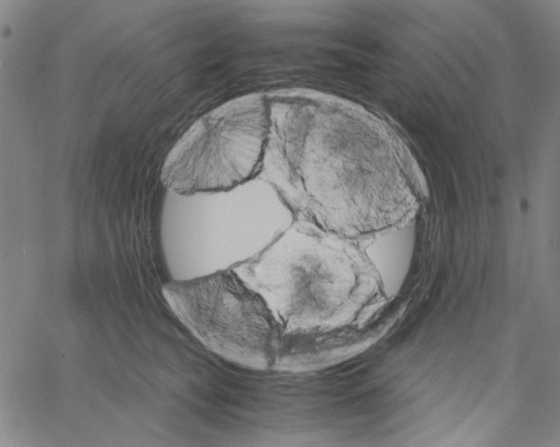 X0000061140565200512161533