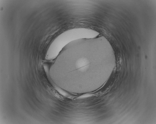 X0000061140566200512161533