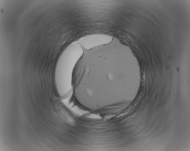 X0000061140568200512161533