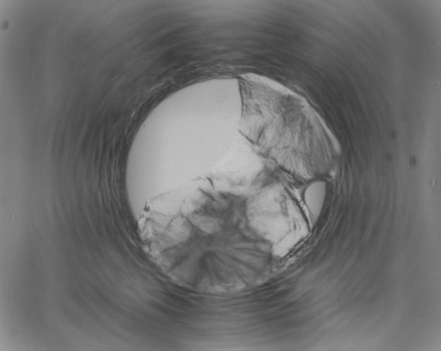 X0000061140569200512161533