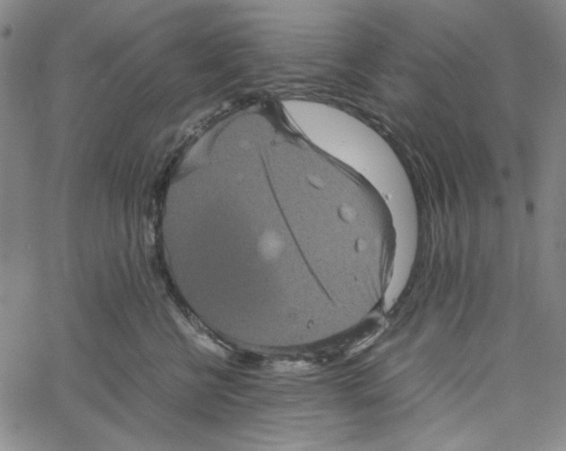 X0000061140570200512161533